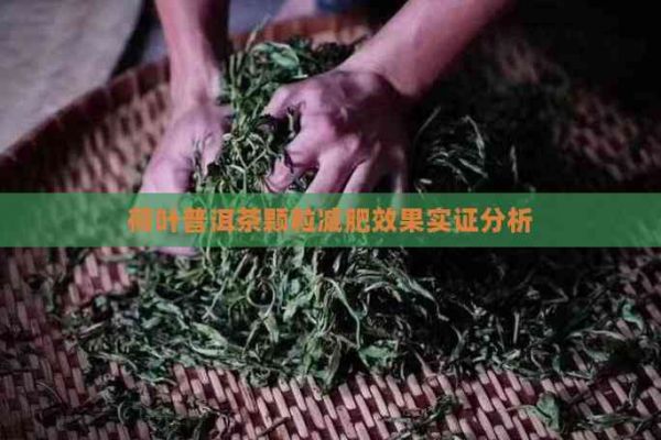 荷葉普洱茶顆粒減肥效果實證分析