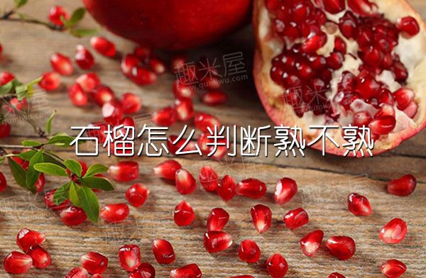 石榴怎么判斷熟不熟