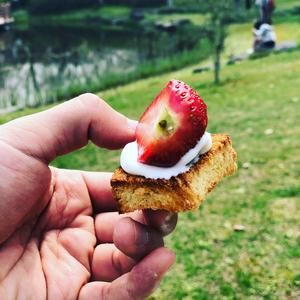 春游便當(dāng)?shù)淖龇?步驟7