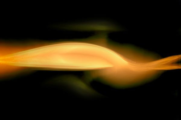 兒童便當(dāng)示例