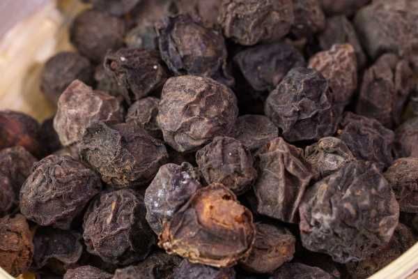 減肥期間可以吃話梅嗎