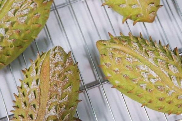 制作面包必須要懂的面團整形及制作過程