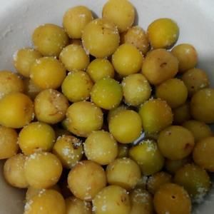 自制話梅的做法 步驟1
