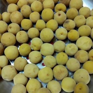 自制話梅的做法 步驟3