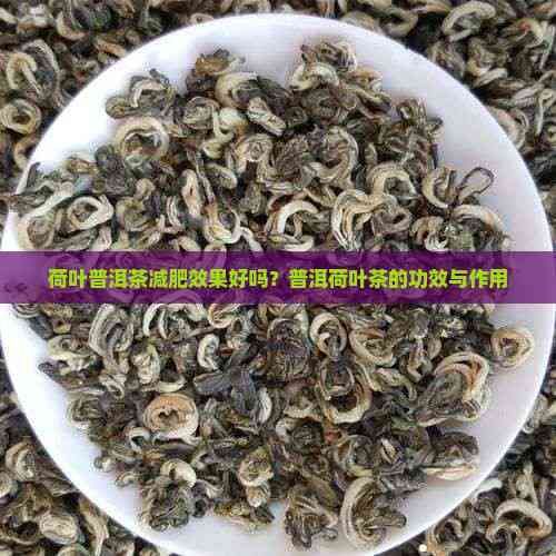 荷葉普洱茶減肥效果好嗎？普洱荷葉茶的功效與作用