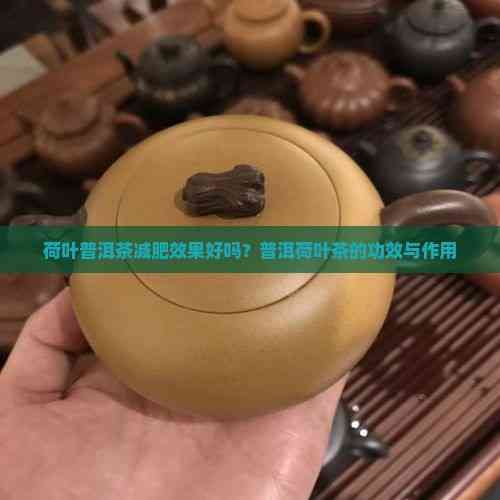 荷葉普洱茶減肥效果好嗎？普洱荷葉茶的功效與作用