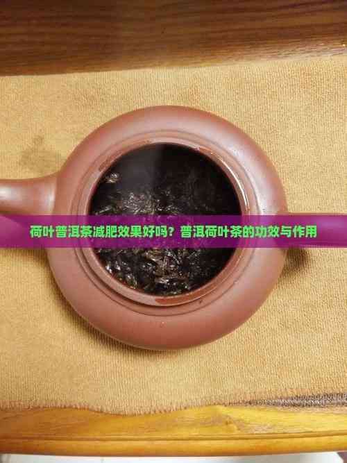 荷葉普洱茶減肥效果好嗎？普洱荷葉茶的功效與作用