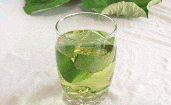 吃荷葉可以減肥嗎