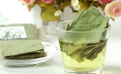 荷葉可以減肥嗎 注意荷葉的用法