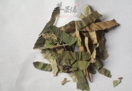 荷葉可以減肥嗎 注意荷葉的用法