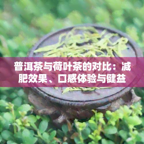 普洱茶與荷葉茶的對(duì)比：減肥效果、口感體驗(yàn)與健益處