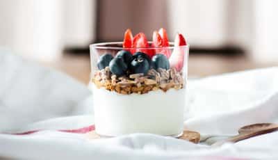 益生菌：一個簡單的初學(xué)者指南