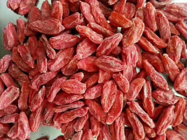 干燥的寧夏中寧枸杞與山東平陰玫瑰花瓣并列擺放于白色陶瓷碟中，旁邊放置不銹鋼茶匙，背景為淺灰色布紋材質(zhì)