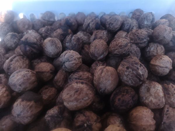 烤好的薄皮核桃仁擺放在玻璃碗中