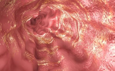 在胃中膨脹的飲食膠囊 如何減少食欲 食欲太好怎么降低食欲