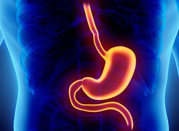 健胃消食膠囊的功效和副作用