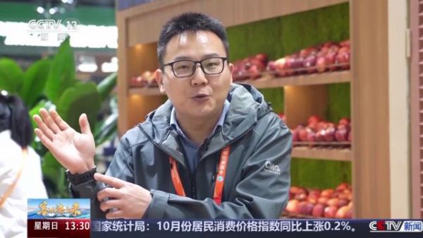 Thumbplayer Poster Plugin Image