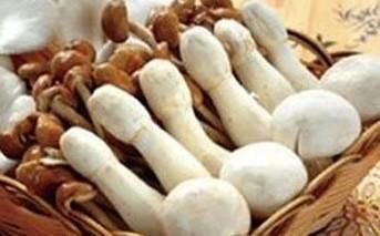 怎樣健康減肥？健康的減肥方法有哪些？