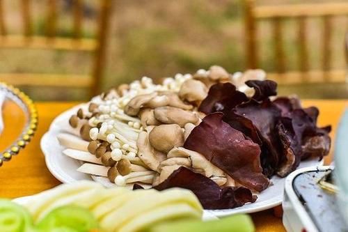 怎樣健康減肥？健康的減肥方法有哪些？