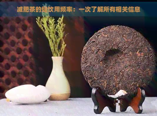 減肥茶的健飲用頻率：一次了解所有相關(guān)信息