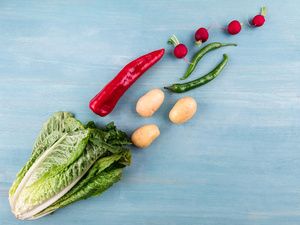 新鲜蔬菜可以在冰箱冷冻吗