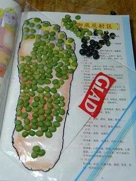 1、將舊 佳能密實(shí)袋 剪開，鋪在《腳底反射區(qū)圖譜》上面，用筆勾勒出腳底面的隆廓，剪去多余的塑料。 2、用萬能膠將去皮的黑豆瓣粘在需要按摩的反射區(qū)內(nèi)粘牢。