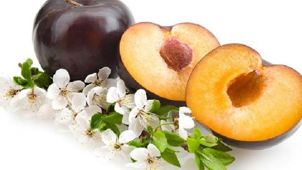 8種MM瘦臉的食物 吃出健康小V臉