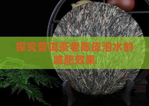 探究普洱茶老陳皮泡水的減肥效果