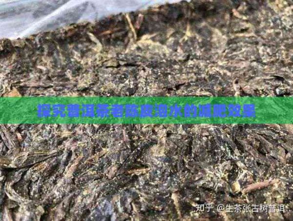 探究普洱茶老陳皮泡水的減肥效果