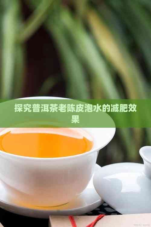 探究普洱茶老陳皮泡水的減肥效果