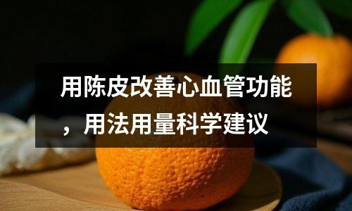 用陳皮改善心血管功能，用法用量科學(xué)建議