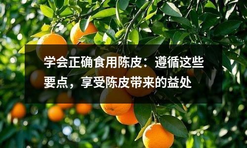 學(xué)會(huì)正確食用陳皮：遵循這些要點(diǎn)，享受陳皮帶來的益處