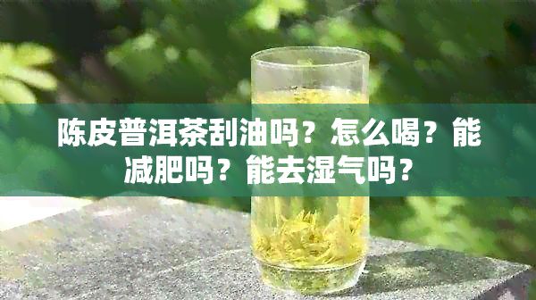 陳皮普洱茶刮油嗎？怎么喝？能減肥嗎？能去濕氣嗎？