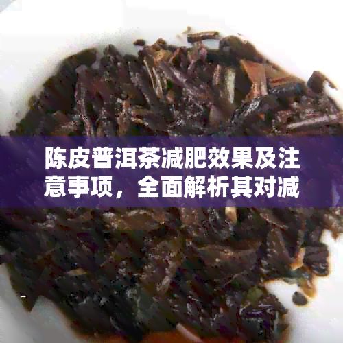 陳皮普洱茶減肥效果及注意事項(xiàng)，全面解析其對(duì)減肥的影響和正確飲用方法