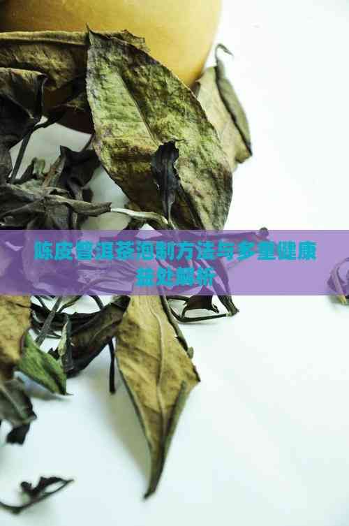 陳皮普洱茶泡制方法與多重健康益處解析