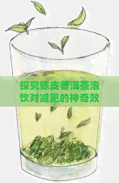 探究陳皮普洱茶泡飲對(duì)減肥的神奇效果