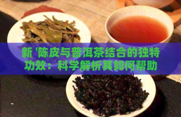 新 '陳皮與普洱茶結(jié)合的獨特功效：科學(xué)解析其如何幫助減肥'