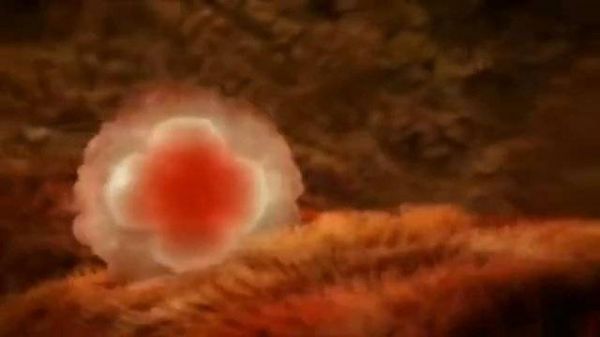 科普動(dòng)畫：胎兒的發(fā)育過程。 看看寶寶在媽媽肚子里是怎樣成長的