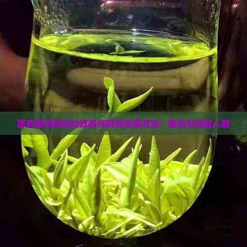 陳皮普洱茶的功效和作用及食用方法：禁忌與適宜人群