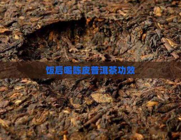 飯后喝陳皮普洱茶功效