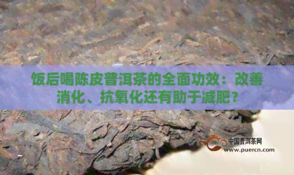 飯后喝陳皮普洱茶的全面功效：改善消化、抗氧化還有助于減肥？