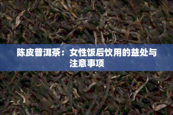 陳皮普洱茶：女性飯后飲用的益處與注意事項