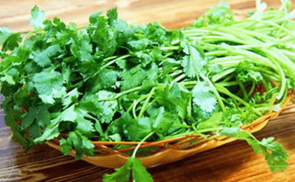 香菜有什么功效及作用？吃香菜对人的身体有什么作用？(1)