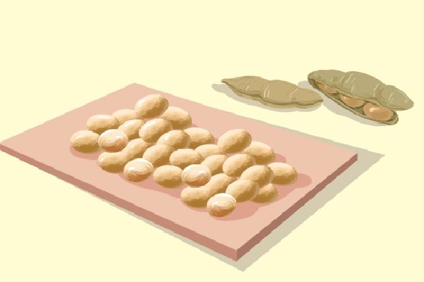 大豆低聚糖的作用與功效