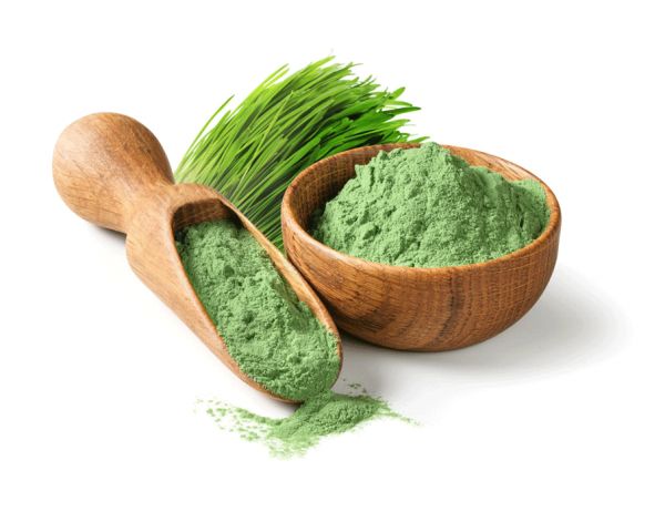 粉體化加工の方法