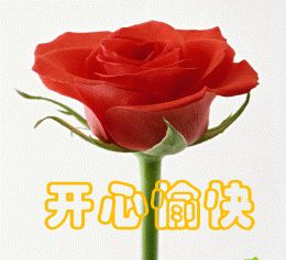 [轉(zhuǎn)載]趙奕然原地跑步減肥法(快樂減肥)