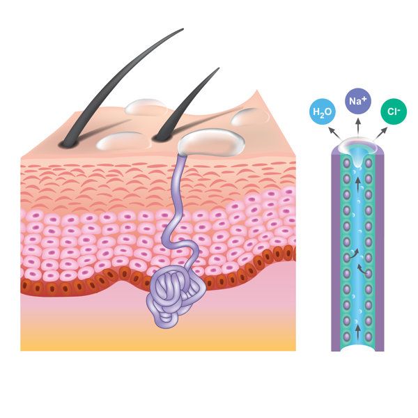 等滲性脫水又叫什么