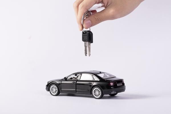 冬瓜利水|傳統(tǒng)養(yǎng)生智慧中的健康食療方案 圖2