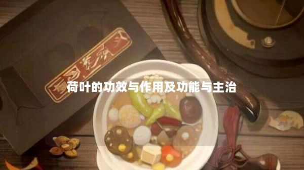 荷葉的功效與作用及功能與主治