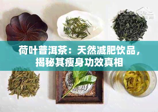 荷叶普洱茶：天然减肥饮品，揭秘其瘦身功效真相